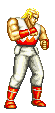 Fatal Fury 2