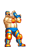 Fatal Fury